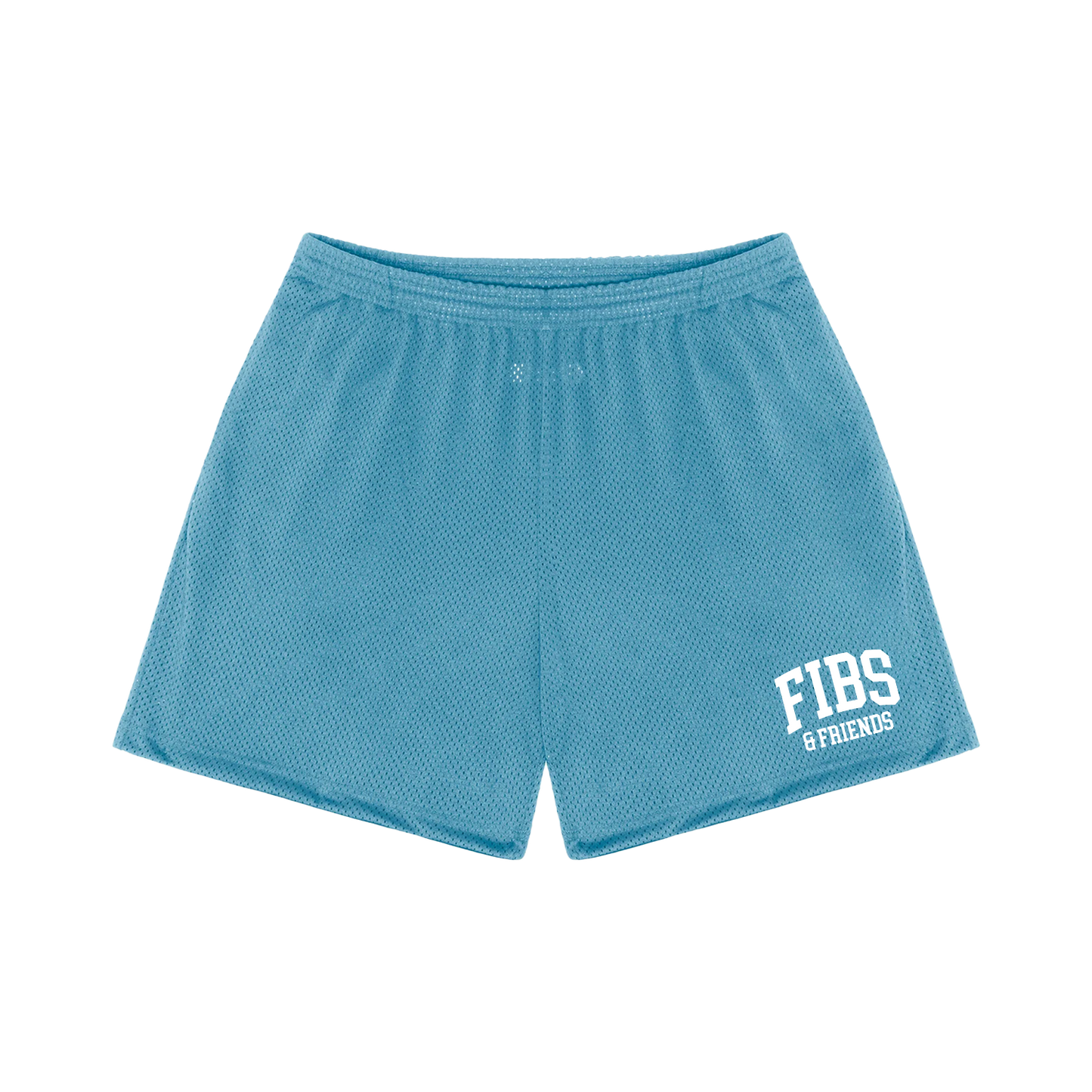 Fibs & Friends Blue Mesh Shorts