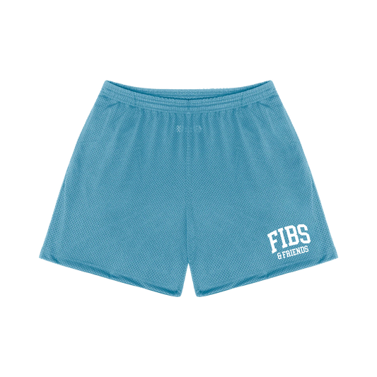 Fibs & Friends Blue Mesh Shorts