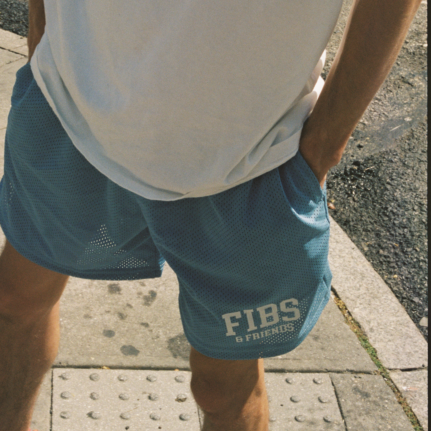 Fibs & Friends Blue Mesh Shorts